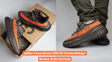 Review of the adidas Yeezy Boost 350 V2 Carbon Beluga - Detailed & on feet look | Blogs | More ...