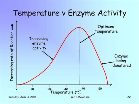 Enzyme Activity Graph Temperature