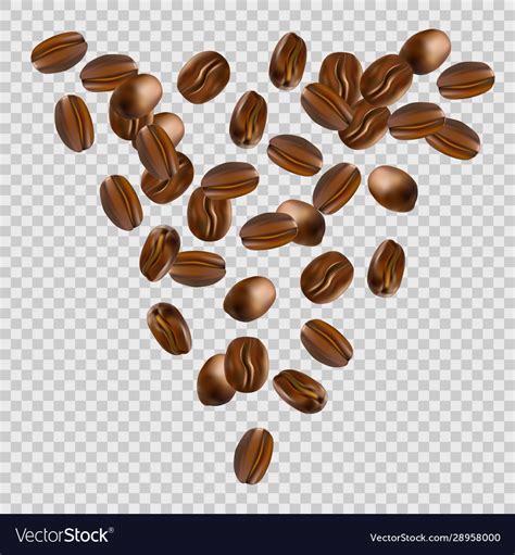 Falling coffee beans on transparent background Vector Image