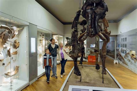 State Museum of Natural History | lviv.travel