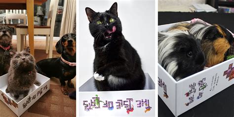 Introducing your photos of The Isle of Cats - The City of Games