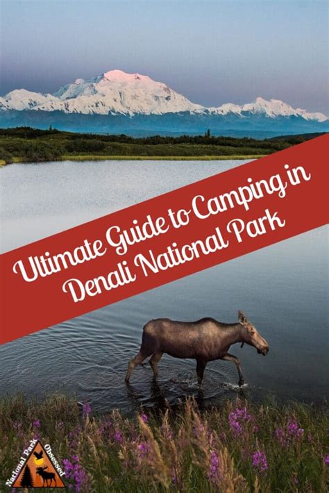 The Ultimate Guide to Camping in Denali National Park - National Park ...