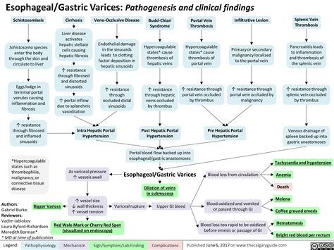 Esophageal/Gastric Varices: Pathogenesis and clinical findings ...