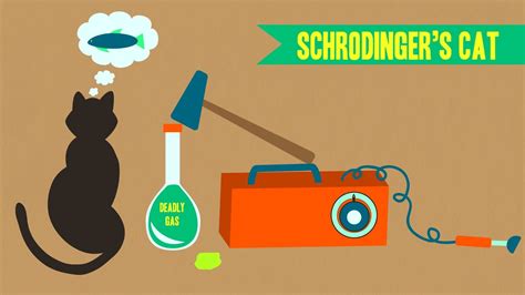 Schrödinger's Cat Wallpapers - Top Free Schrödinger's Cat Backgrounds - WallpaperAccess