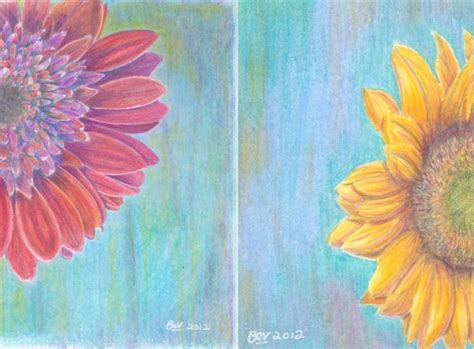 Color Pencil Drawings Of Flowers