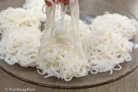 Rice Noodle / Rice Vermicelli (Bun Tuoi) - RunAwayRice