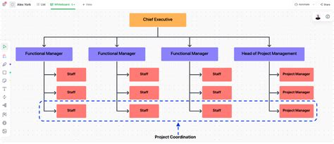 Project Management Organizational Structures (5 Free Templates)