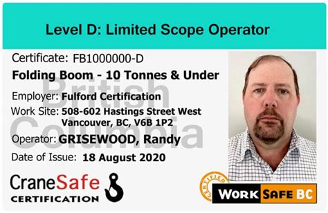 Level D / Limited Scope Crane Operator Certification | Site specific