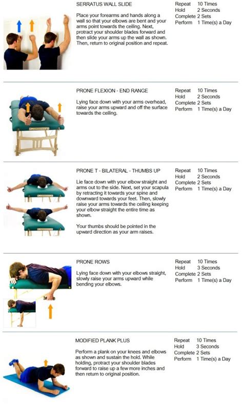 Scapular Stability - Active Chiropractic