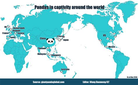 pandas-going-overseas-as-friendly-ambassadors - Global Times