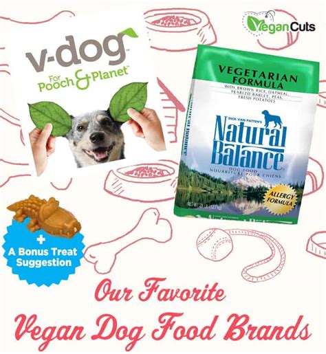 Our Favorite Vegan Dog Food Brands | Vegancuts