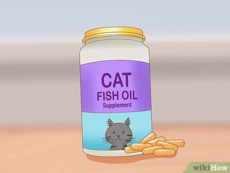 4 Ways to Reduce Cat Dander - wikiHow Pet