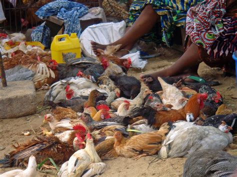 African Delights: The Food Market in Pictures