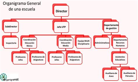 Organigrama De La Escuela Primaria