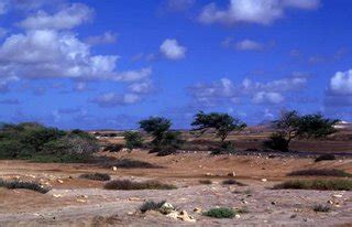 imago lucis opera expressa: Cabo Verde 2001