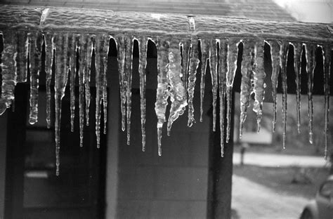 [Icicles After an Ice Storm in Vidor, Texas] - The Portal to Texas History