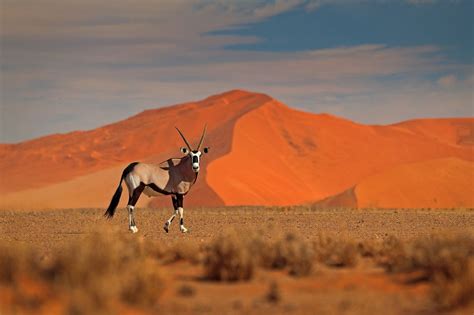 La Namibie.