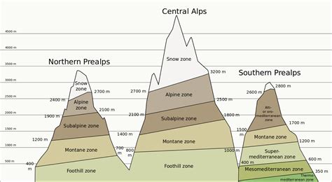 File:Altitudinal zones of Alps mountains Extended diagram-en.svg | Alps ...