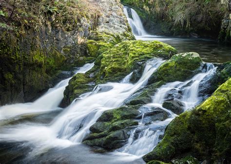 Free picture: nature, water, landscape, river, stream, waterfall, wood, moss