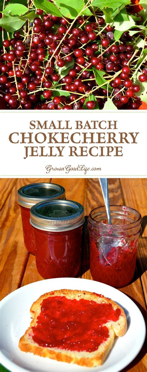 This small batch of chokecherry jelly only requires one pound of ...