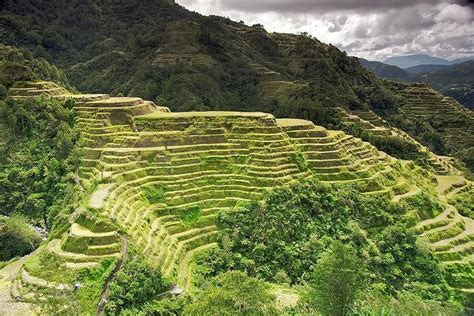 Five Reasons Why You Should Visit Banaue Rice Terraces