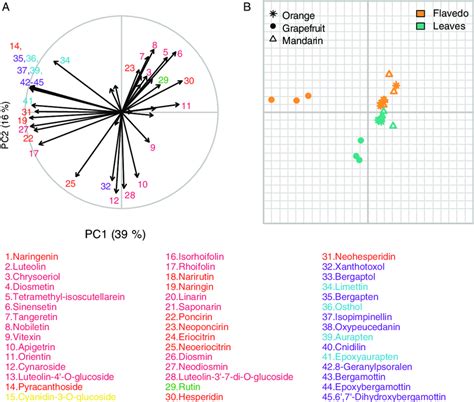 Principal components analysis of 45 phenolic compounds quantified in... | Download Scientific ...