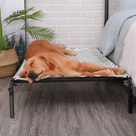 NEW EXTRA LARGE ELEVATED DOG PET BED COT 57DBC - Uncle Wiener's Wholesale