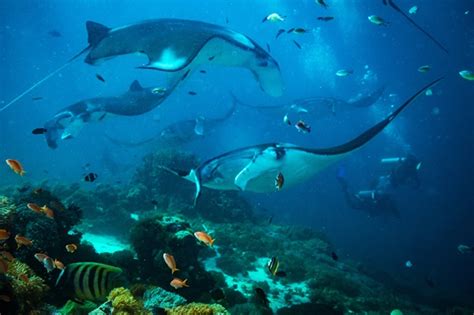 Labuan Bajo Diving - the zeros before