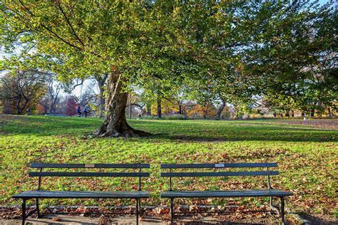 Central Park, Benches In Nyc Digital Art by Lumiere - Fine Art America