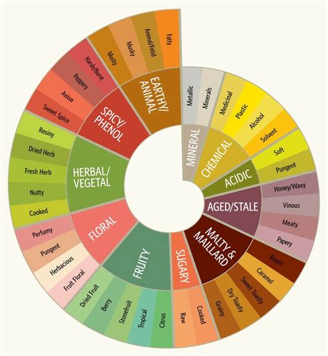 Pin by Long Thai on Beer - flavor wheel | Beer tasting, Home brewing ...