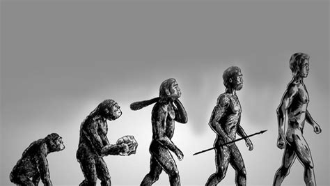 Evolution of Mankind - FunBuzzTime