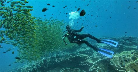 Palawan El Nido Discover Scuba Diving for Beginners with Equipment, Tank, Weight Belt & Snacks ...