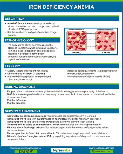 Anemia Pathophysiology