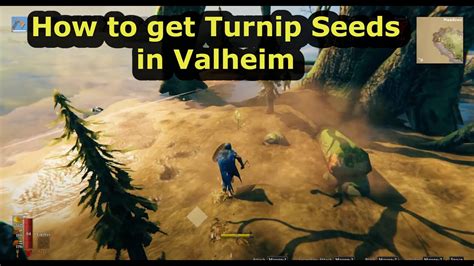 getting Turnip Seeds Fast from Swamps ( First blob kill hhhh ) Valheim Mistlands - YouTube