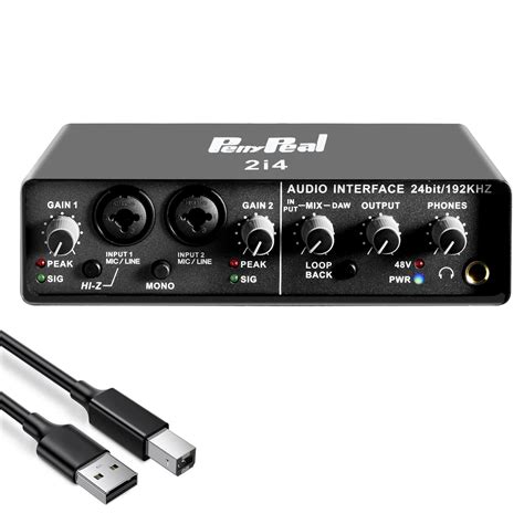 Buy penypeal USB Audio Interface for PC 2-in 4-out with XLR Mic Amplifier,Hi-Z Switch,LOOPBACK ...