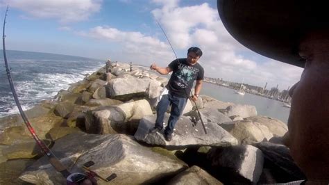 Redondo Beach fishing! Sunday October 2nd 2016 - YouTube