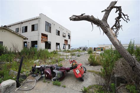 Keep hope alive: Camp Zama volunteers help with ongoing clean-up ...