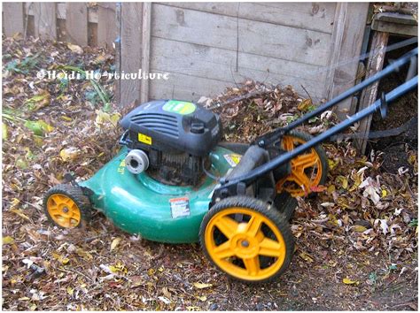 Heidi Horticulture: Composting Leaves - Mulching