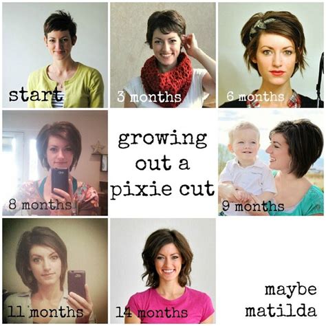 Hair growth stages, Growing out hair, Growing out short hair styles