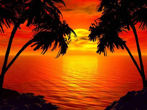 Another Tropical Sunset by intothemoonbeam on deviantART | Beach sunset wallpaper, Sunset ...