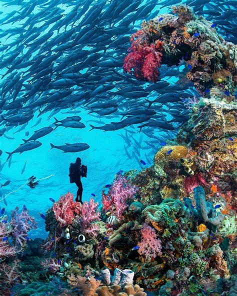 5 World’s Easiest Wreck Diving: Perfect for Beginners - Northbaycorvettes