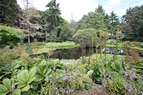 St Andrews Botanic Garden | St Andrews Botanic Garden this g… | Flickr