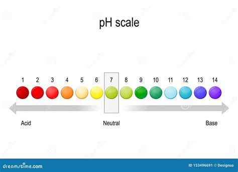 PH Value Scale Chart For Acid-alkaline Solution. Acid-base Balance Infographic Isolated On White ...