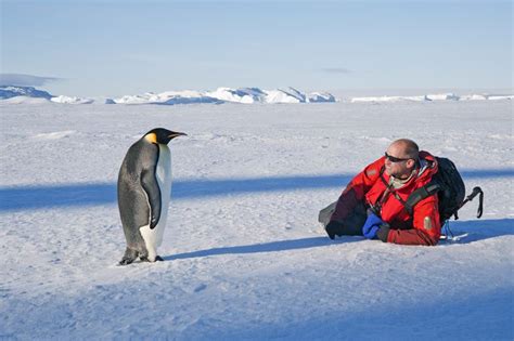 Tourism in Antarctica