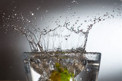 Free Images : branch, liquid, ice, spray, drink, drip, drop of water ...