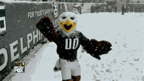 Amazingly Snowy Conditions Across the NFL Make for Some Outstanding GIFs | News, Scores ...