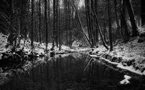 Wallpaper : wood, stream, snow, trees, black and white, autumn, late 2560x1600 - wallup ...