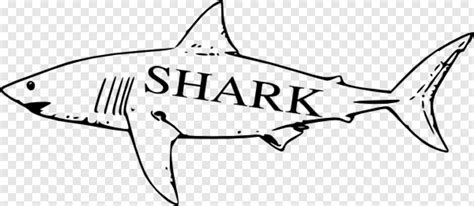 Bape Shark, Whale Shark, Arrow Clip Art, Shark Attack, Shark Fin, Great White Shark #782882 ...