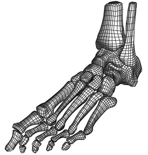 Foot Outline Drawing at PaintingValley.com | Explore collection of Foot Outline Drawing