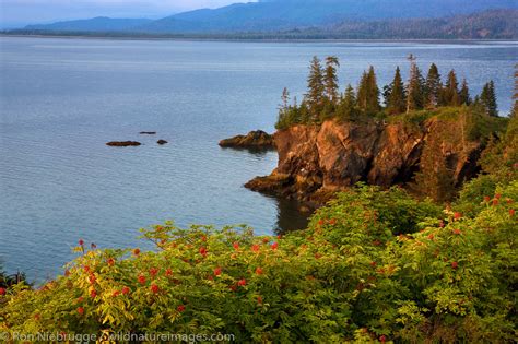 Halibut Cove | Kenai Peninsula, Alaska | Photos by Ron Niebrugge